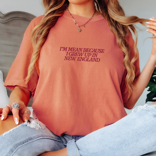 I'm Mean Because I Grew Up in New England T-Shirt