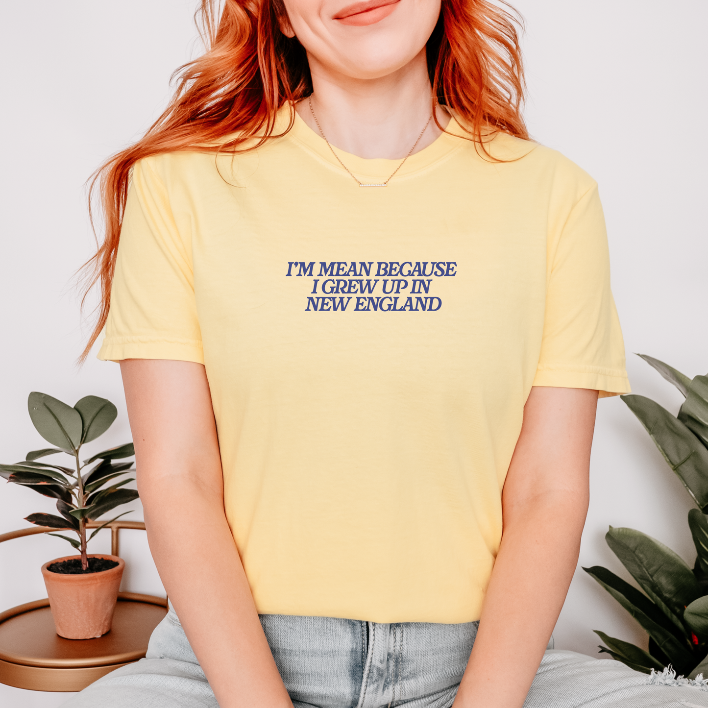 I'm Mean Because I Grew Up in New England T-Shirt